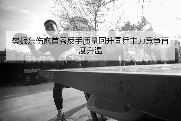 樊振东伤愈首秀反手质量回升国乒主力竞争再度升温
